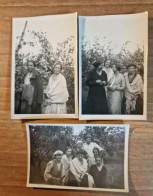 19239.  Tre Fotografie Vintage Uomo Donne Eleganti Vendemmia Vigna Vino Aa '30 Italia - 8,5x5,5 - Personnes Anonymes