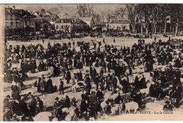 Brive La Gaillarde Sur La Guierle - Brive La Gaillarde