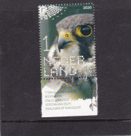 Netherlands Pays Bas 2020 Boomvalk Falcon MNH** - Unused Stamps