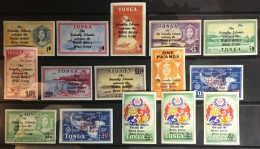 Tonga 1967 Peace Corps Overprint Complete Set MNH - Tonga (...-1970)