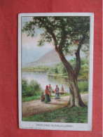 From Dinis Island Killarney. St Patricks Dday . Ref 6388 - Sonstige & Ohne Zuordnung