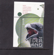 Netherlands Pays Bas 2020 Raaf Raven  MNH** - Ungebraucht