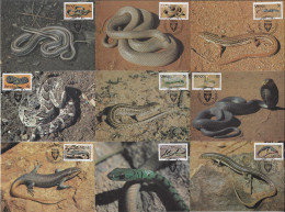 Venda 1986 Y&T 120 à 136 Sur 17 Cartes Maxima. Serpents Et Lézards, Reptiles - Slangen