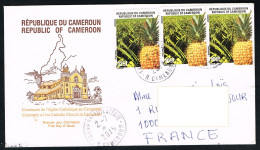 CAMEROUN Cameroon Kamerun 1998 Fruit Ananas Pineapple 100 F 125 F - Mi 1226 1227 YT 886 887 On Cover - Lettre - Kamerun (1960-...)