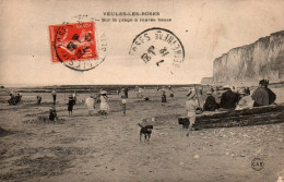 N°393 W -cpa Veules Les Roses -sur La Plage à Marée Basse- - Veules Les Roses