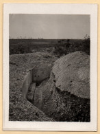 Photo Tranchée Du Bois En Chenille - Secteur Moronvilliers - Champagne Guerre 14-18 WW1 - War, Military