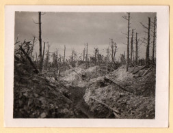 Photo Tranchée Bois Horizontal - Effets Bombardements - Champagne Guerre 14-18 WW1 - War, Military