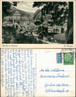 Ansichtskarte Bad Grund (Harz) Im Kurpark 1954 - Bad Grund