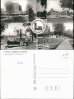 Werder-Magdeburg Kulturpark Rotehornpark: Hyparschale, Gaststättenschiff 1970 - Sonstige & Ohne Zuordnung