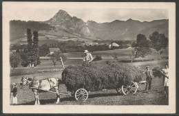 Carte P De 1956 ( Les Fenaisons En Haute-Savoie ) - Autres & Non Classés