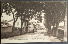 Montluel Entrée Du Bourg - Montluel