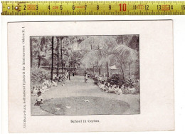 67960 - UIT MARIA GALM TIJDSCRIFT DER MISSIONARISSEN OBLATEN - SCHOOL IN CEYLON - Misiones