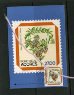 (alm)  CARTE MAXIMUM PORTUGAL ACORES PLANTES - Azores