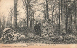 Fougères * Les Alignements De La Forêt * Dolmen Menhir Pierre Pierres Monolithe Mégalithe Villageois - Fougeres