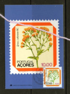 (alm)  CARTE MAXIMUM PORTUGAL ACORES PLANTES - Azores