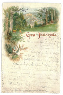 GER 46 - 10185 FRIEDRICHRODA, Litho, Germany - Old Postcard - Used - 1899 - Friedrichroda