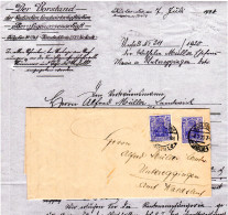 DR 1920, 2x20 Pf. Germania M. Perfin LB Auf Behörden Brief V. Karlsruhe - Covers & Documents