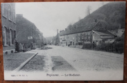 PEPINSTER (LIEGE) - LE HODISTER - Pepinster