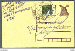 India Postal Stationery Tiger 15 Kekri Ajmer Cds - Postales