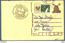 India Postal Stationery Tiger 15 Lunkaransar Cds - Cartes Postales