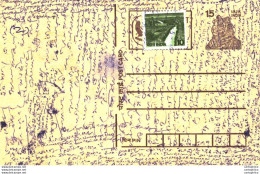 India Postal Stationery Tiger 15 - Postales