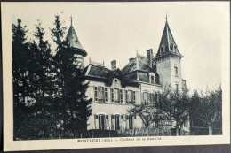 Montluel Château De La Gentille - Montluel