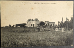 Montluel Château Du Sepey - Montluel