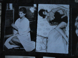 2 Claudia Cardinale PC, Photo - Entertainers