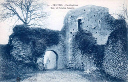 77 - Seine Et Marne -  PROVINS - Fortifications - Tour Et Poterne Faneron - Provins