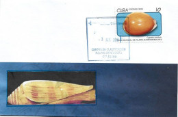 Timbre Coquillage : "Cypraea Auratum"  Sur Lettre Cienfuegos (Cuba) - Muscheln
