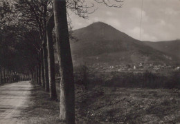 MONT SAINT ODILE ET SAINT NABOR - Sainte Odile