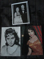 3 Gina Lollobrigida PCs /+ Vittorio De Sica/ - Entertainers