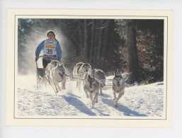 Chien : Attelage D'Alaskans (Alaskan Husky) Cp Vierge N°863 - S. Hery Photographe - Perros