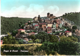 POGGIO DI ATRICOLI (TERNI) PANORAMA - VG FG - C0338 - Terni