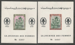 AFGHANISTAN 1964 Year , 2 Mint Blocks MNH (**)  - Afganistán