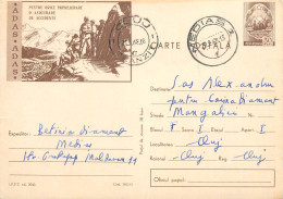 Postal Stationery Postcard Romania ADAS Asigurare - Romania