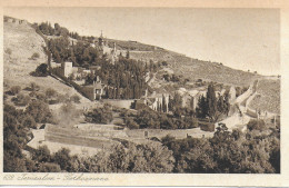 GARDEN OF GETHSEMANE, JERUSALEM, ISRAEL. UNUSED POSTCARD   Mm4 - Israel