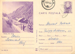 Postal Stationery Postcard Romania Peisaj De Iarna - Roemenië