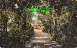 R436787 Ryde. Appley Lane. The London View. 1907 - Otros & Sin Clasificación