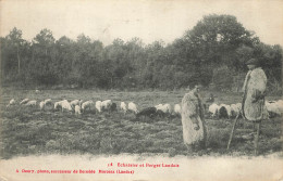 D7011 Landes échassier Et Berger Landais - Sonstige & Ohne Zuordnung