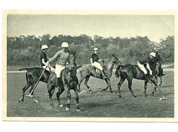 CF75 - CHROMO WAGNER - POLO - Hipismo