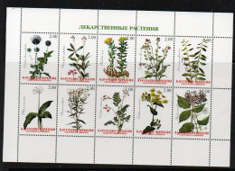 MEDICINAL PLANTS -  RUSSIAN LOCAL - CHERKESIA - SHEETLET OF 10 MINT NEVER HINGED - Plantas Medicinales