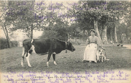 D7034 Landes Une Fille Filant En Gardant La Vache - Sonstige & Ohne Zuordnung