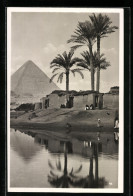CPA Cairo, Gizeh, Pyramide Vom Nilufer Gesehen  - Autres & Non Classés