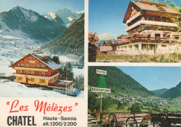 CHATEL HOTEL RESTAURANT LES MELEZES - Châtel