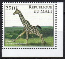 MALI - 1997 - 1v - MNH - Giraffes Giraffe Girafes Giraffen Girafe Giraffe Jirafa Jirafas - Mammals - Fauna Animals - Giraffen