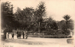 N°403 W -cpa Blida -jardin Bizot- - Blida