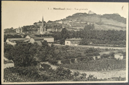 Montluel Vue Générale - Montluel