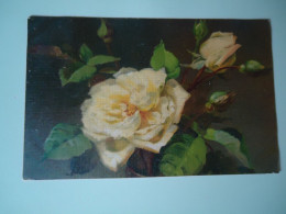 GERMANY   POSTCARDS  ROSES    CHARLOTTENBURG  1917 - Other & Unclassified