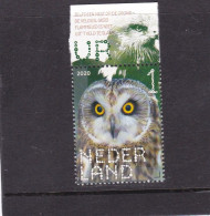 Netherlands Pays Bas 2020 Velduil Short-eared Owl MNH** - Unused Stamps